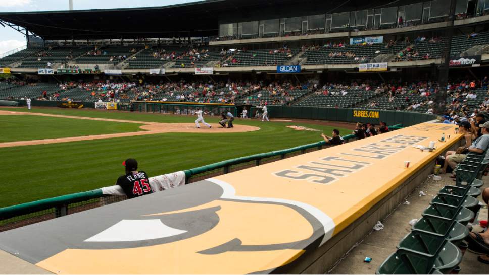 Concerns about Fan Safety After a Bat Goes Airborne